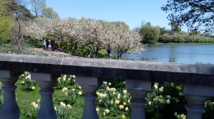 20170506_144131.jpg